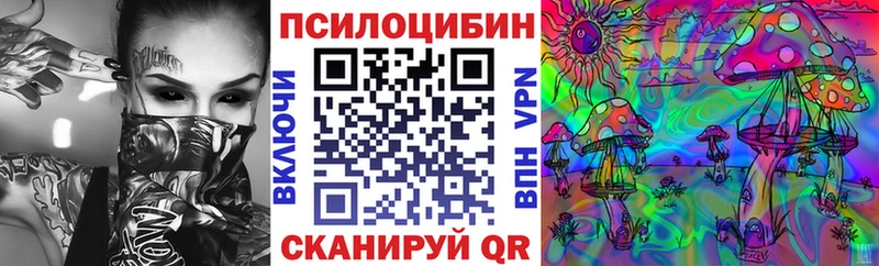 где найти   Сызрань  Псилоцибиновые грибы мухоморы 