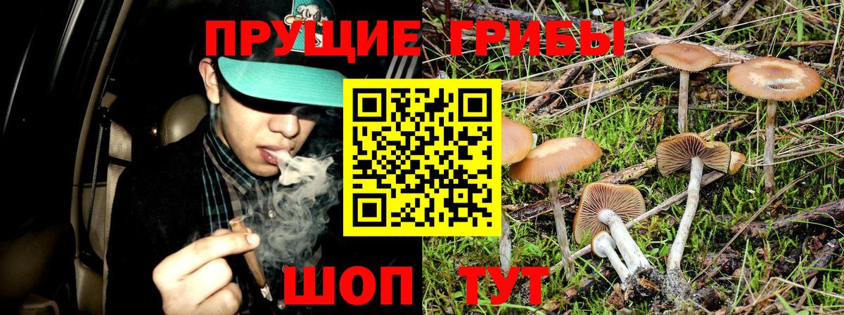 Галлюциногенные грибы Cubensis  Вход с VPN  Сызрань 